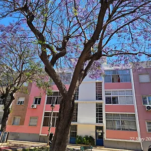  Apartment Blife Farensya Private